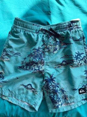 Quiksilver boys Turquoise & Navy Tropical Board Shorts